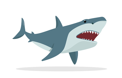 Furious Shark animal icon. Underwater swimming shark, toothy fish mascot, sea fauna character. Ocean aquatic shark with open mouth. Vector flat or cartoon illustration isolated on white background.