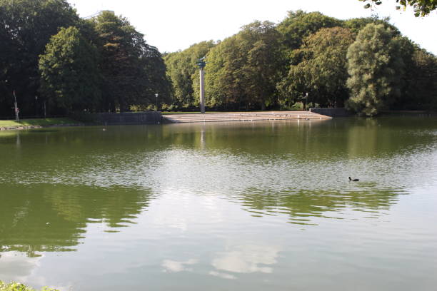 widok na przyrodę - sweden summer swimming lake zdjęcia i obrazy z banku zdjęć