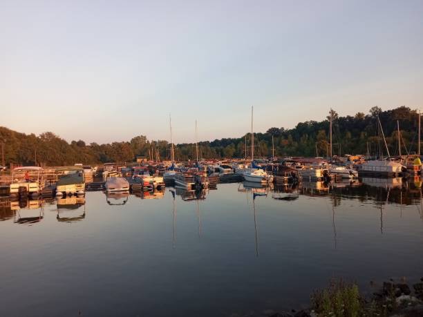 istock Marina C.J. Brown Reservoir 1 1741356269