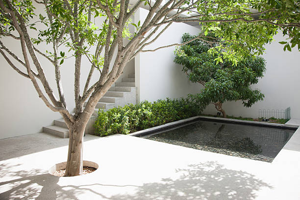 Tree and pool in courtyard  courtyard photos stock pictures, royalty-free photos & images