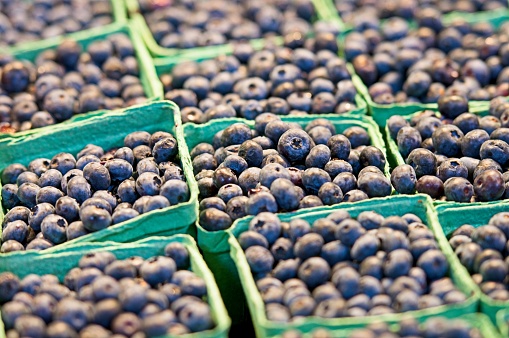 Blueberries on Sale at a Farmers Market