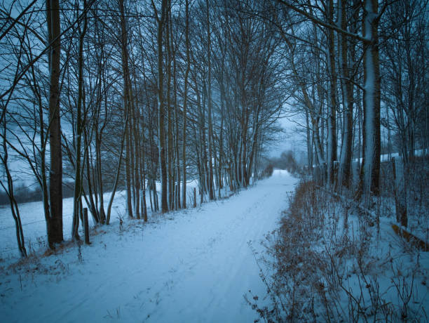 Country road during heavy snowfall, bad weather, fog, trees covered with snow and rime, mountain landscape. Jeseniky mountains,Czech Republic.
