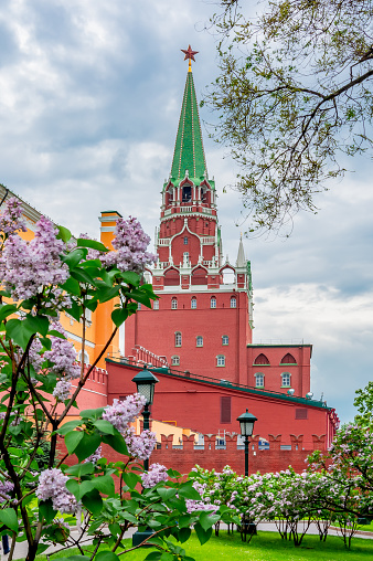 Troitskaya (Trinity) tower of Moscow Kremlin in spring, Russia