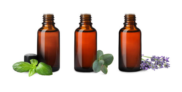 istock Set of different essential oils in bottles and ingredients on white background 1741384831