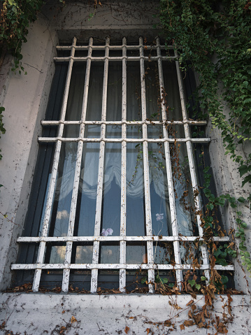 This evocative image captures an old window in Livorno, Italy, adorned with rusted bars and overgrown vines. The window, covered by a curtain, adds an air of mystery to the scene. The weathered wall and peeling paint speak of the passage of time, while the thriving vines symbolize resilience and growth.