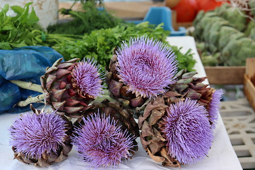 Photograph of artichoke flowers (Cynara scolymus) for sale at a market. Horizontal image.