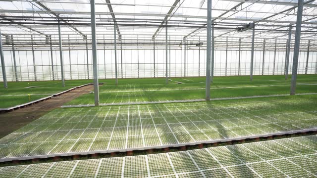 Crops Thriving in Compact Plots: Dutch Greenhouse Technology with Iron and Glass Nurturing, Perspective Area Plan