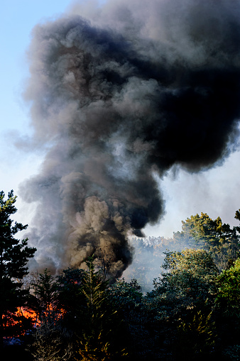 A spectacular cloud of smoke rises from the Angora forest fire in south Lake Tahoe, California, on June 24, 2007.  Dry conditions and a strong wind combined to produce a dramatic smoke cloud against a clear blue sky.