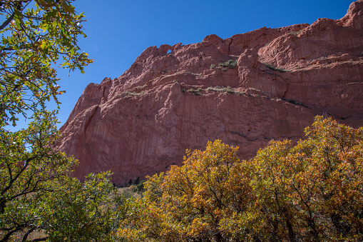 Two small trees rise over desert grasses with a colorful sandstone butte in background within the western side canyon in Valley of the Gods.