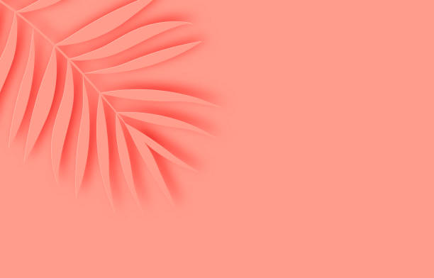 istock Tropical paper palm leaves frame. Summer tropical leaf. Origami exotic hawaiian jungle, summertime background. Paper cut. Minimal. Pastel art colorful style. 1741608505