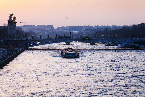 istock view of pont alexandre iii in Paris 174162194