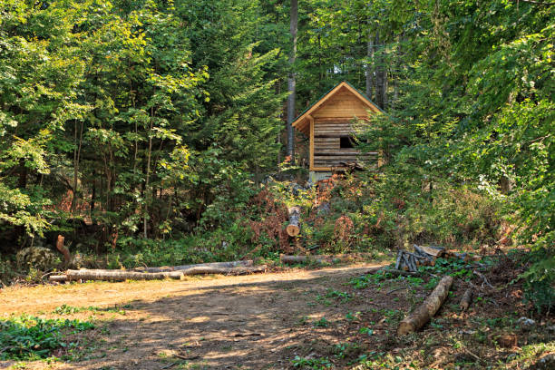 istock Log cabin for the photographers 174162599