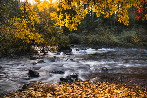 Fall foliage reflected in the Connecticut River, Vermont