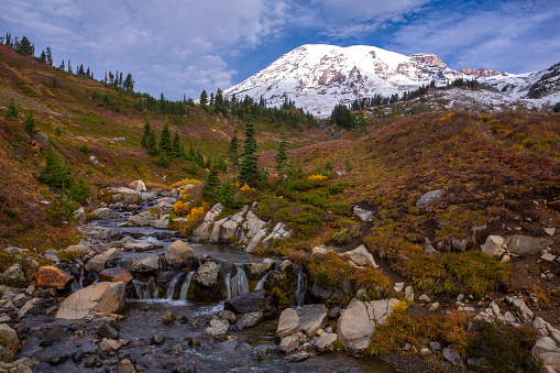 Myrtle Creek and stunning fall foliage at Mt. Rainier National Park in Washington state