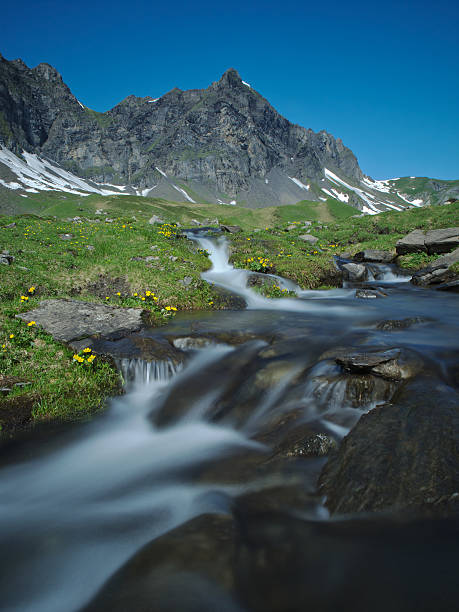 ruscello di montagna e paesaggio alpino - bergwiese foto e immagini stock