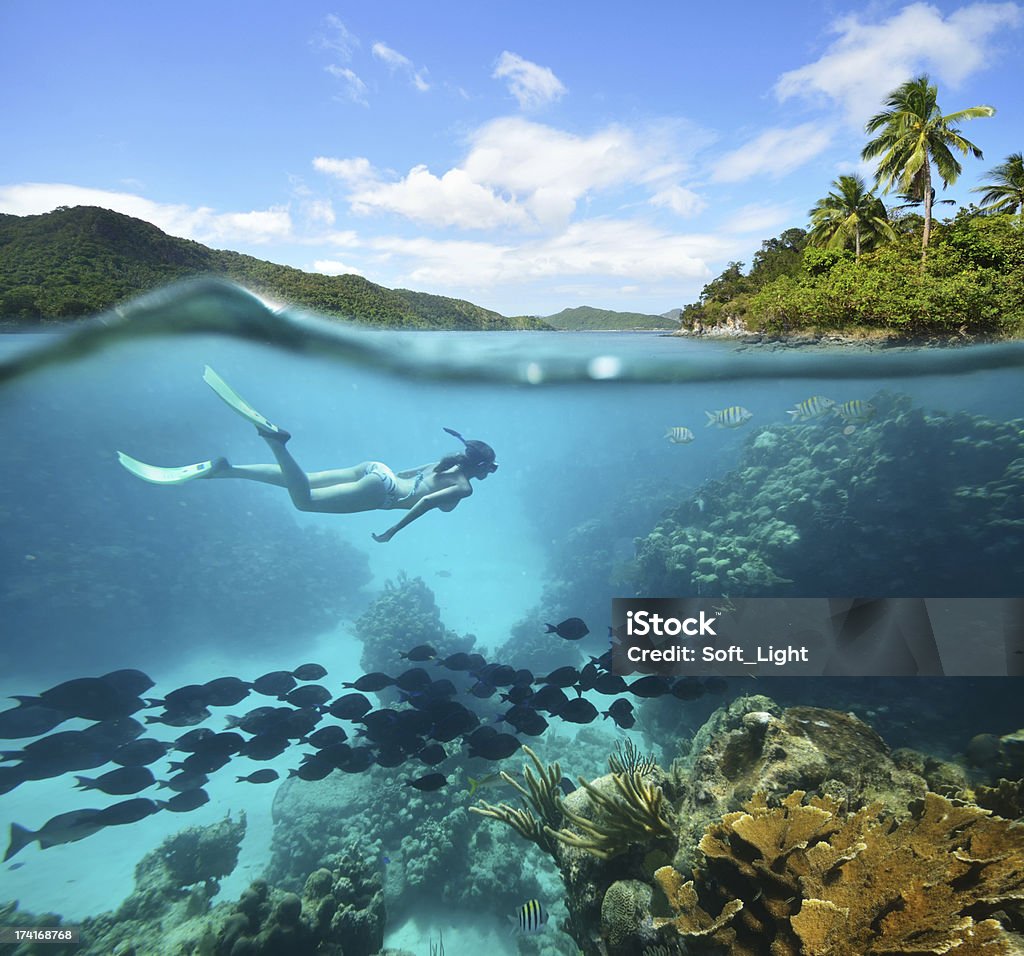 Beautiful Coral reef with lots of fish and a woman Beautiful Coral reef Caribian sea with lots of fish and a woman Activity Stock Photo