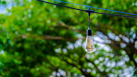 a beautiful light bulb hanging on a string with a green tree in the background