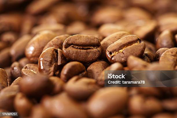 커피 원두 0명에 대한 스톡 사진 및 기타 이미지 - 0명, 갈색, 곡초류