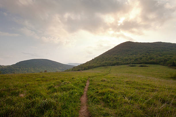 istock Black Blasam area off the Blue Ridge Parkway 174172888