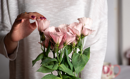 Female hands holding a bouquet of light pink flowers with fresh green leaves