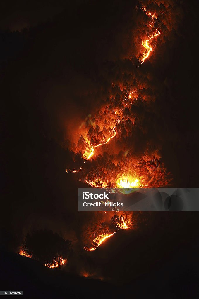 Aggressiva Incendio boschivo - Foto stock royalty-free di Bruciare