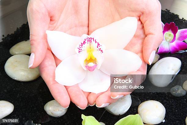 Körperpflegeblume Und Wasser Stockfoto und mehr Bilder von Auf dem Wasser treiben - Auf dem Wasser treiben, Blume, Eine Frau allein