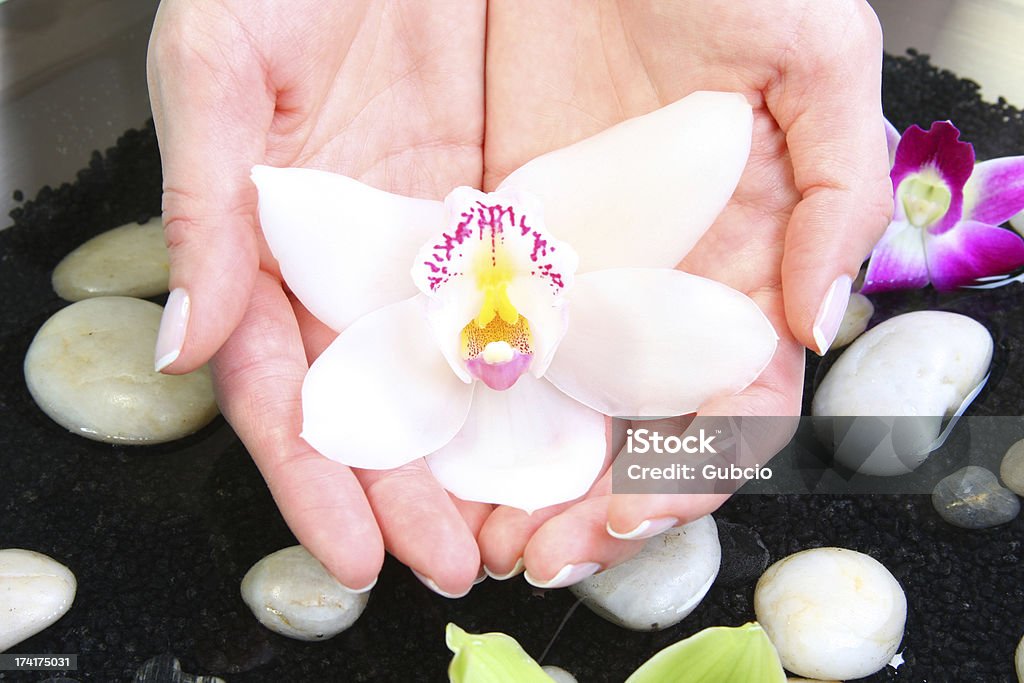 Cuidados com o corpo com flores e água - Foto de stock de Adulto royalty-free