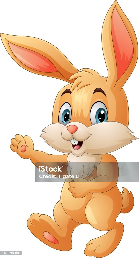 Cartoon Fun Rabbit Vector Cartoon Funny Rabbit On White Background Stock Illustration - Download ...