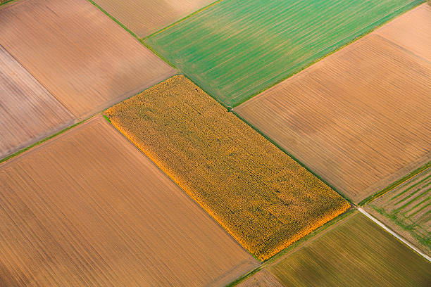 istock aerial of fields in golden sunset light 174176212