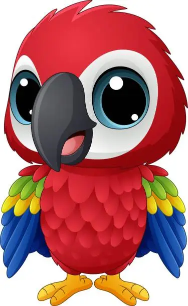 Vector illustration of Cartoon baby macaw on white background