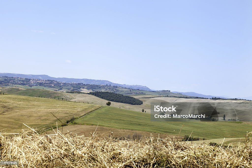 Toskana Landschaft - Lizenzfrei Agrarbetrieb Stock-Foto