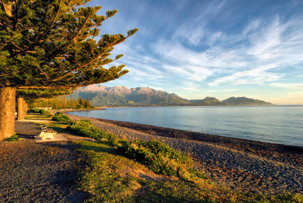 カイコウラビーチ、早朝、南島、ニュージーランド - marlborough region sunrise new zealand sea ストックフォトと画像