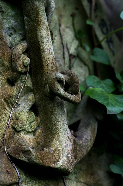 Anchor on a Gravestone with Ivy Growing stock photo