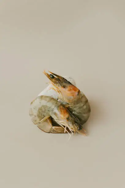 Two shrimps and stoneon a beige background. Minimal concept. Place for text.