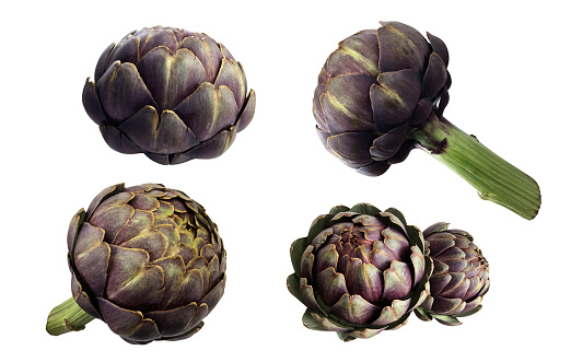 Artichokes set, fresh violet vegetable plants cutout close-up, raw food organic diet concept, clipping path