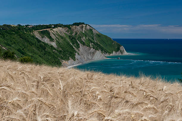istock Portonovo bay 174184093