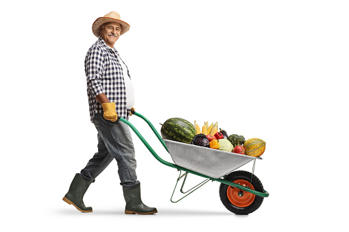 Full length profile shot of a mature farmer pushing a wheelbarrow with a pile of fruits and vegetables isolated on white background