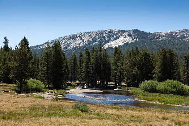 istock Yosemite national park in California 174186292