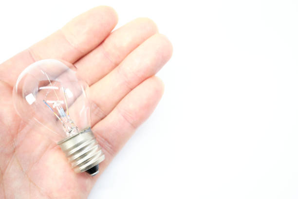 Light bulb in human hand, b&w.