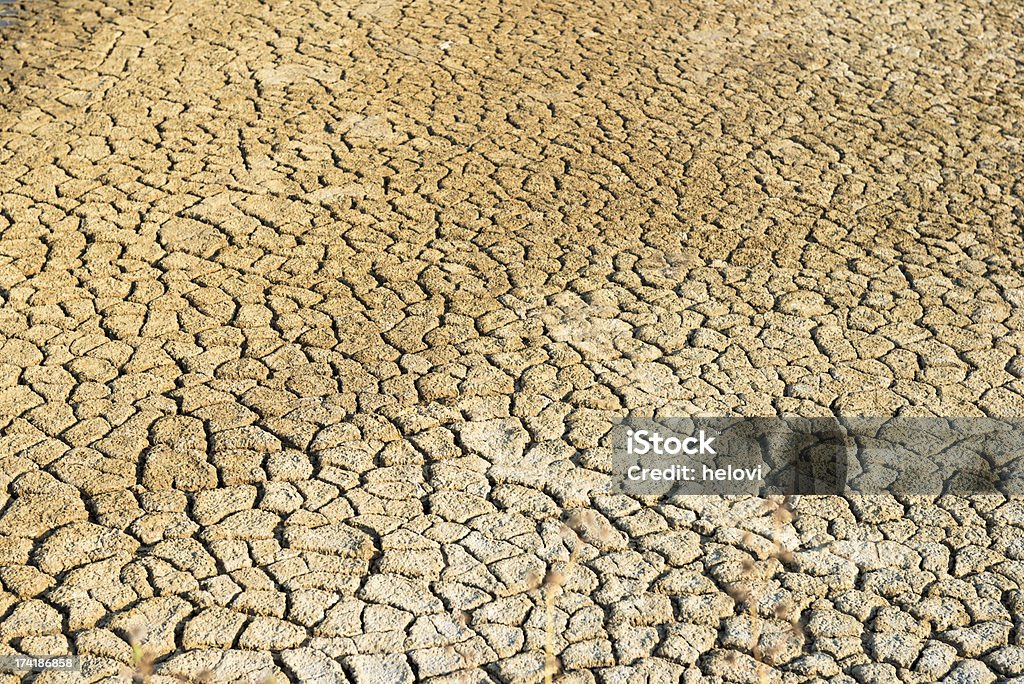 Incrinato il terreno. Siccità e condizioni. - Foto stock royalty-free di Agricoltura