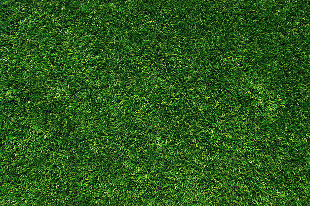istock Background of a green grass 174187830