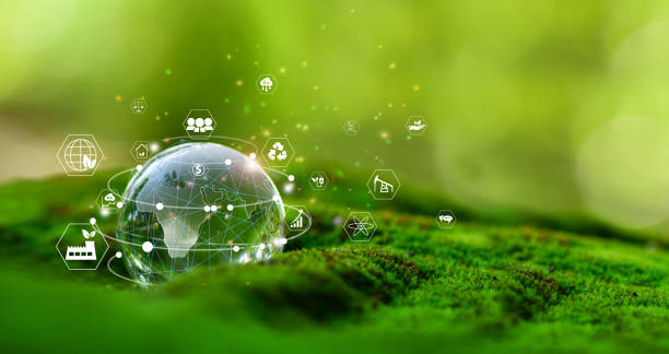 Globo de vidro em floresta verde com o ambiente ícone de ESG, co2, empresa circular e net zero. Tecnologia Ambiente, Organização Desenvolvimento sustentável ambiental. - foto de acervo