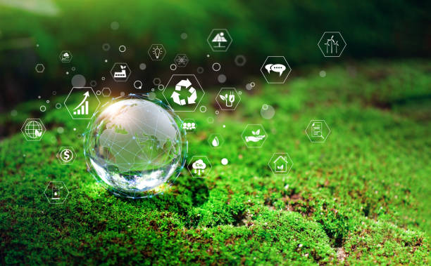 Globo de vidro em floresta verde com o ambiente ícone de ESG, co2, empresa circular e net zero. Tecnologia Ambiente, Organização Desenvolvimento sustentável ambiental. - foto de acervo