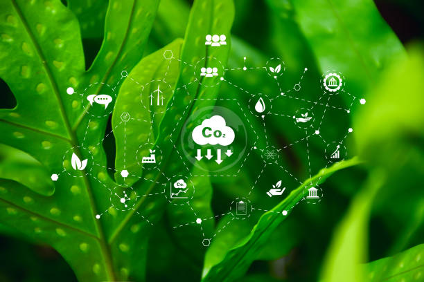 istock icon reduce CO2 emission concept on green leaves Sustainable development, Concept depicting the issue of carbon dioxide emissions, global warming, sustainable development. 1741906271