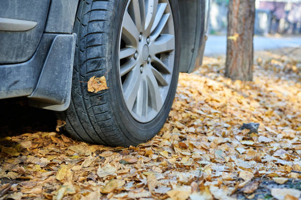 istock Car wheel on the ground covered with fallen autumn leaves. Selective focus. 1741923089