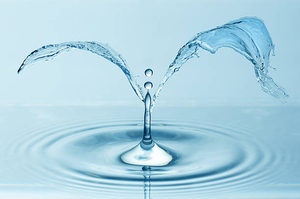 istock Splash of water plant 174192324