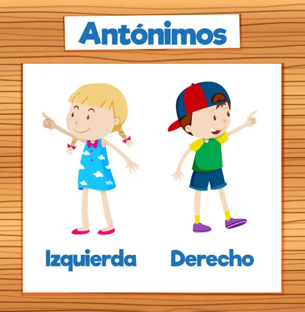 Vector illustration of Antonym Word Card: Izquierda and Derecho in Spanish