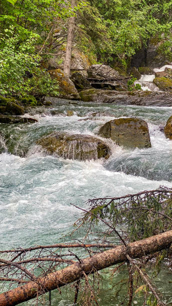 istock Liberty falls waterfall in Alaska 1742008198