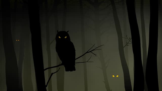 Silhouette of an owl in the misty woods