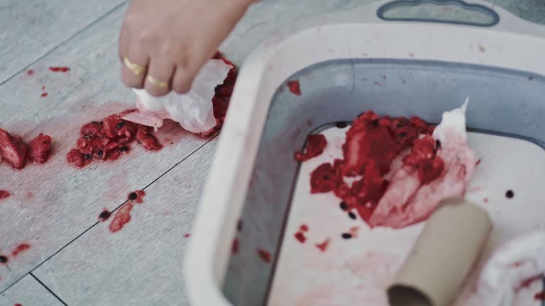 Human hands cleaning up floor